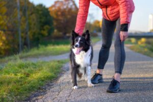 bewegung und geistige stimulation