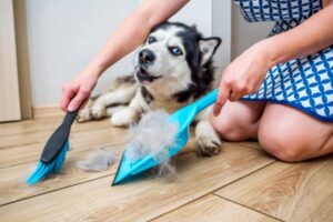 bodenbelagslösungen für pelzbedeckte oberflächen
