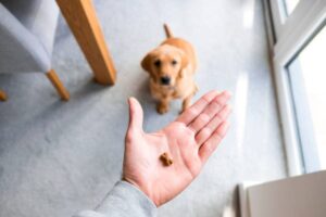 mäßigung und gelegentliche belohnungen