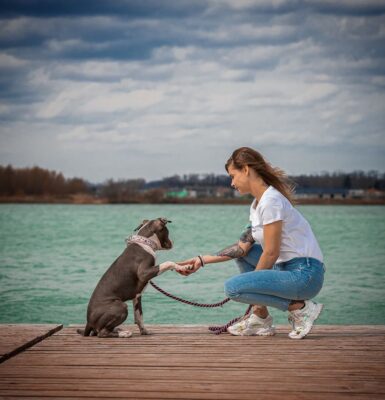 hund-als-freund