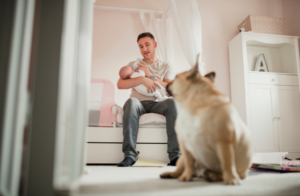 hund-eifersuechtig-baby