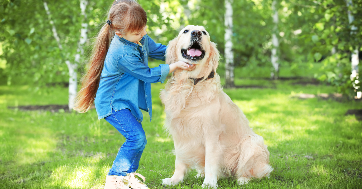 Spielideen für einen zufriedenen Hund