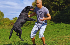 hund-springt-mich-an