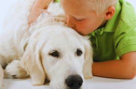 hund-fuer-autisten