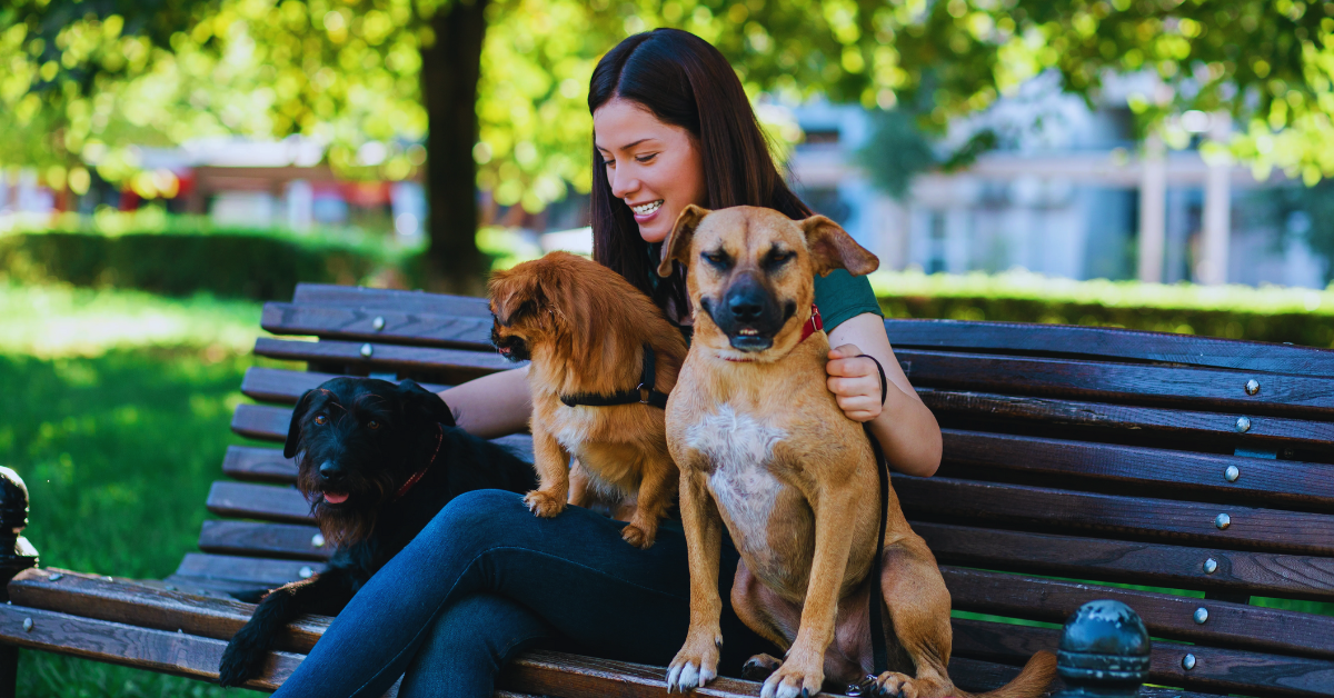 Wie groß wird mein Hund? Formel und Tipps zur Vorhersage der Endgröße deines Welpen [2025]