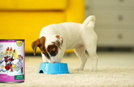 Anifit Hundefutter Test