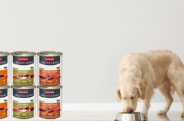 Animonda Hundefutter Test