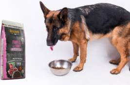 Belcando Hundefutter Test
