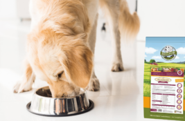 Bellfor Hundefutter Test
