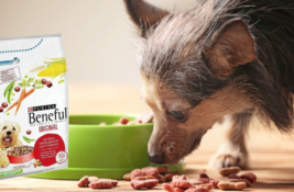Beneful Hundefutter Test