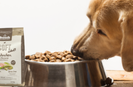 Bosch Hundefutter Test