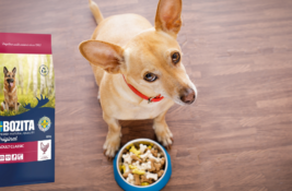Bozita Hundefutter Test