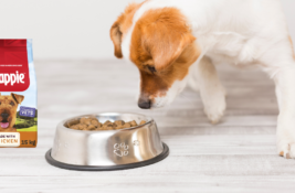 Chappi Hundefutter Test: Warum Dein Hund Dieses Futter Lieben Wird