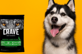 Crave Hundefutter Test