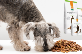 Defu Hundefutter Test