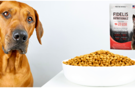 Fidelis Hundefutter Test