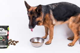 Fresco Hundefutter Test