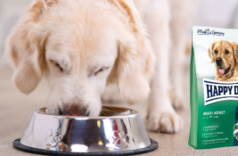 Happy Dog Hundefutter Test