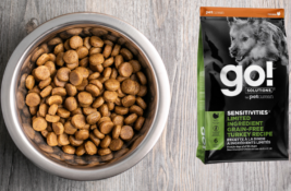 Hochwertiges Hundefutter Test