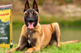 Josera Hundefutter Test