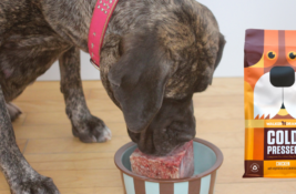 Kaltgepresstes Hundefutter Test