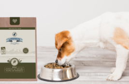 Lakefields Hundefutter Test
