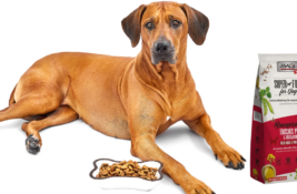 Macs Hundefutter Test