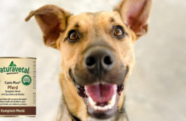 Naturavetal Hundefutter Test