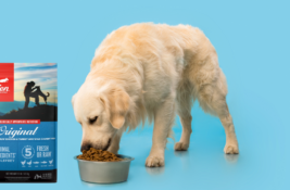 Orijen Hundefutter Test