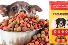 Orlando Hundefutter Test