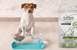 Platinum Hundefutter Test