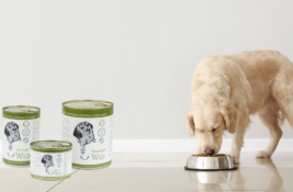 Reico Hundefutter Test