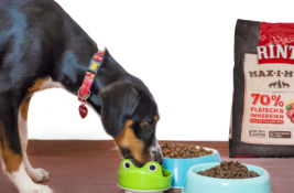 Rinti Hundefutter Test