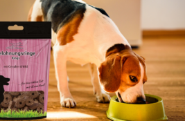 Schecker Hundefutter Test