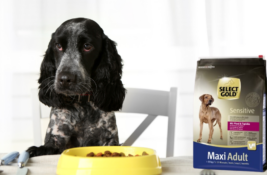 Select Gold Hundefutter Test