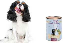 Terra Canis Hundefutter Test