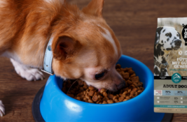 The Good Stuff Hundefutter Test