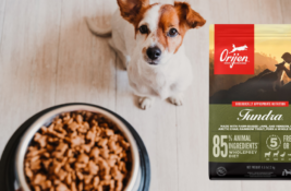 Tundra Hundefutter Test