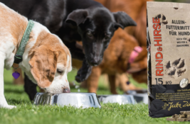 Dr. Ziegler Hundefutter Test