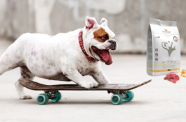 Vet Concept Hundefutter Test