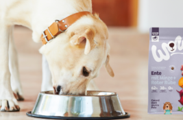 WOW Hundefutter Test