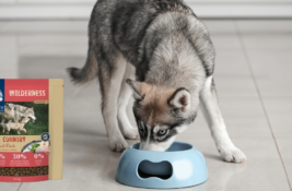 Wilderness Hundefutter Test: Deine beste Wahl für gesunde und glückliche Hunde