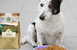 Wildes Land Hundefutter Test
