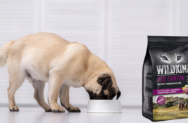 Wildkind Hundefutter Test
