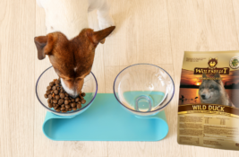 Wolfsblut Hundefutter Test